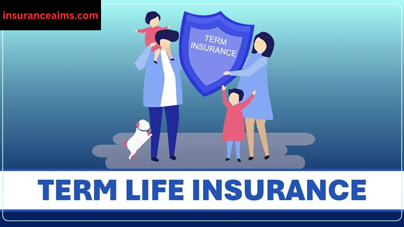 insurance | term life insurance | term insurance
