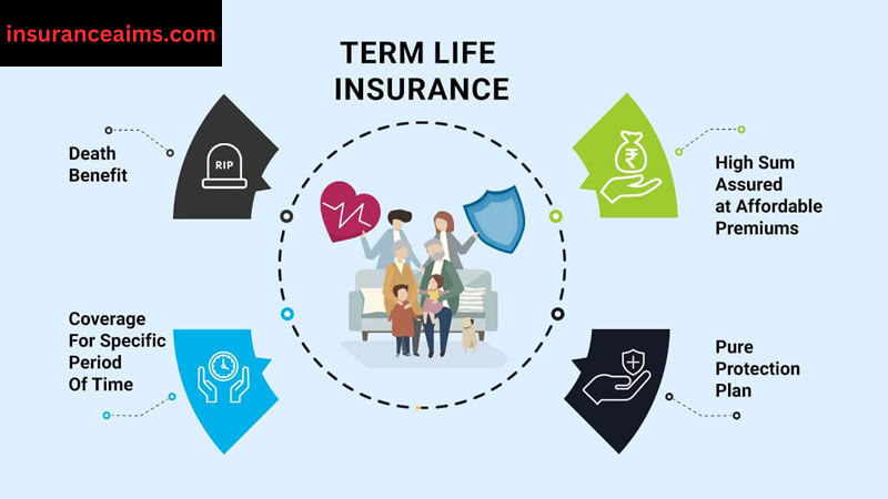 term life insurance quotes | term insurance plan |cheap life insurance