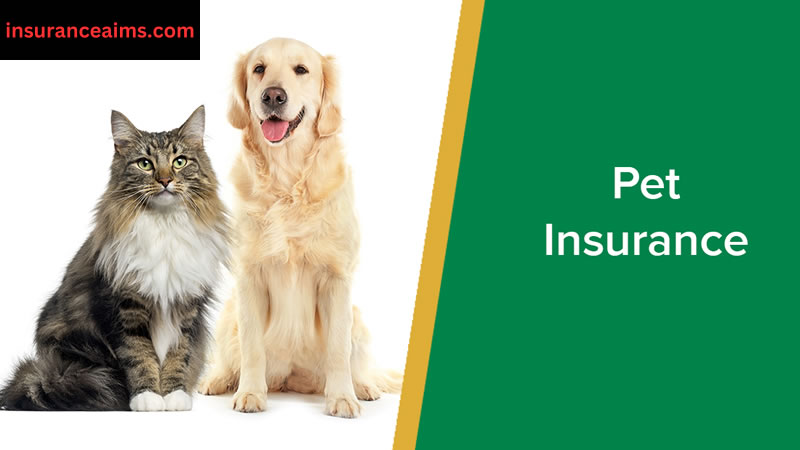 Introduction to pet insurance | dog insurance | pet insurance for dogs