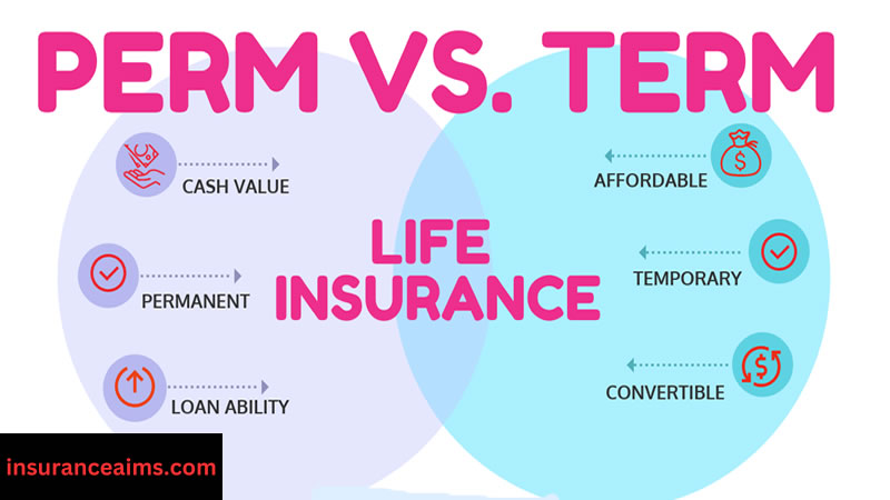 best term life insurance | term life insurance rates | life insurance