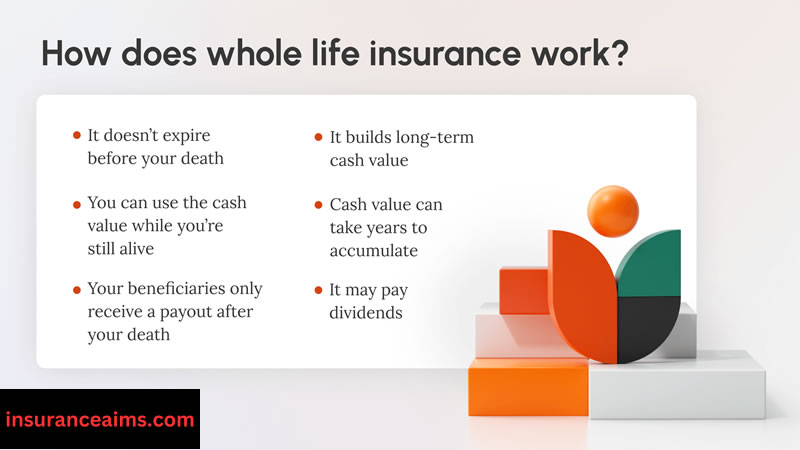 insurance | whole life insurance | whole life insurance policy
