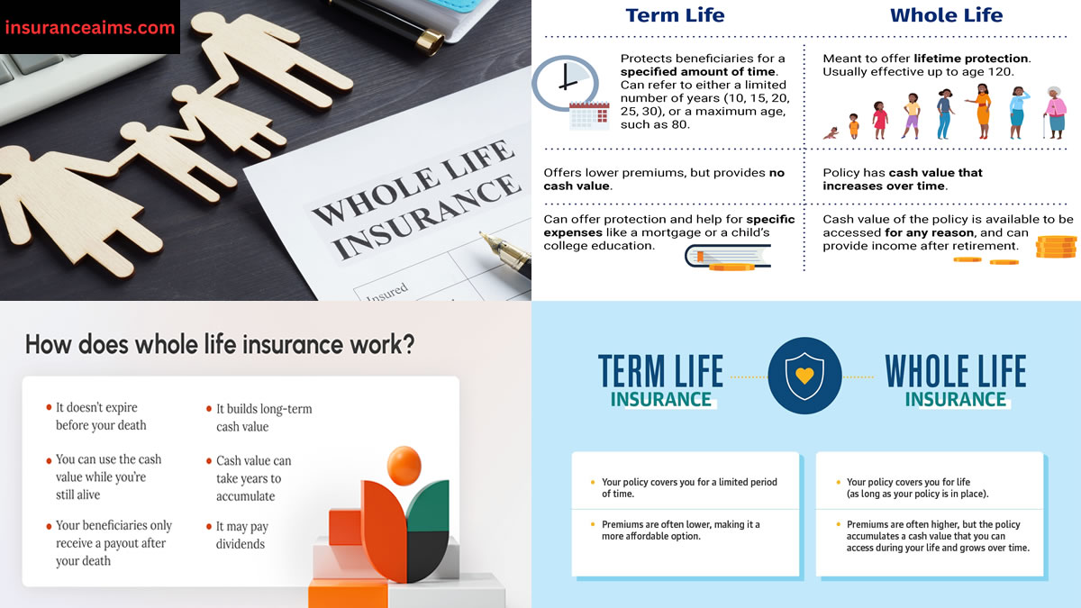 insurance | whole life insurance | whole life insurance policy