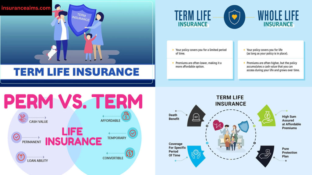 insurance | term life insurance | term insurance