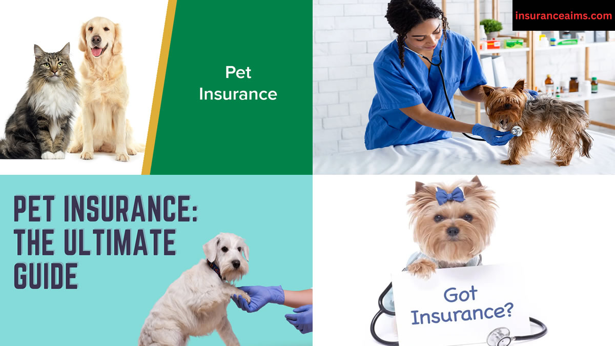 insurance | pet insurance | What is pet insurance